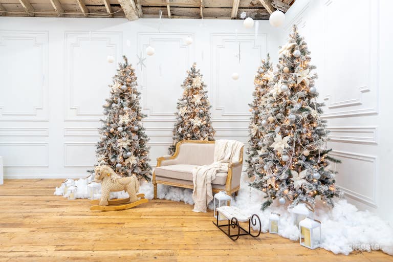  The Cottage in Hamilton 