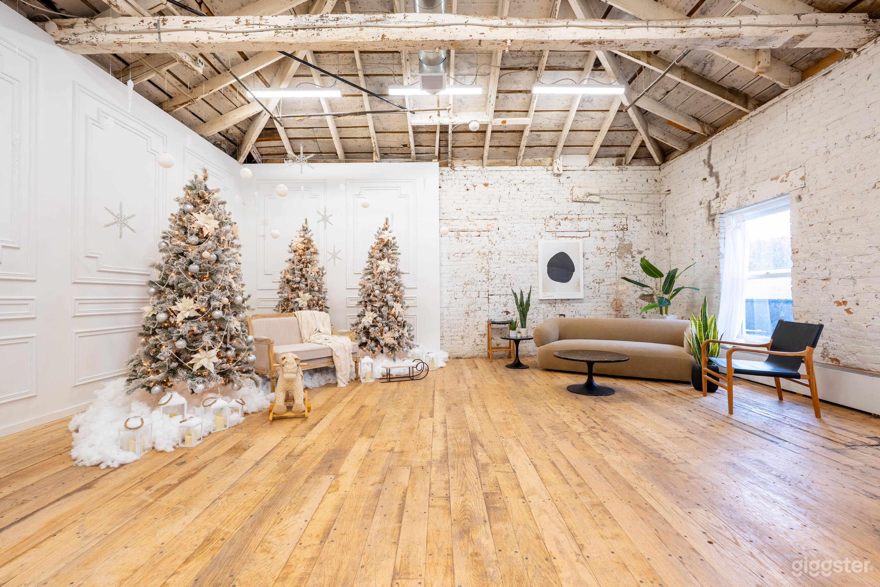 The Cottage in Hamilton Photo 1