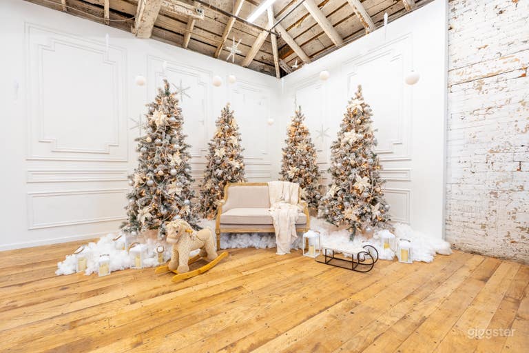  The Cottage in Hamilton 