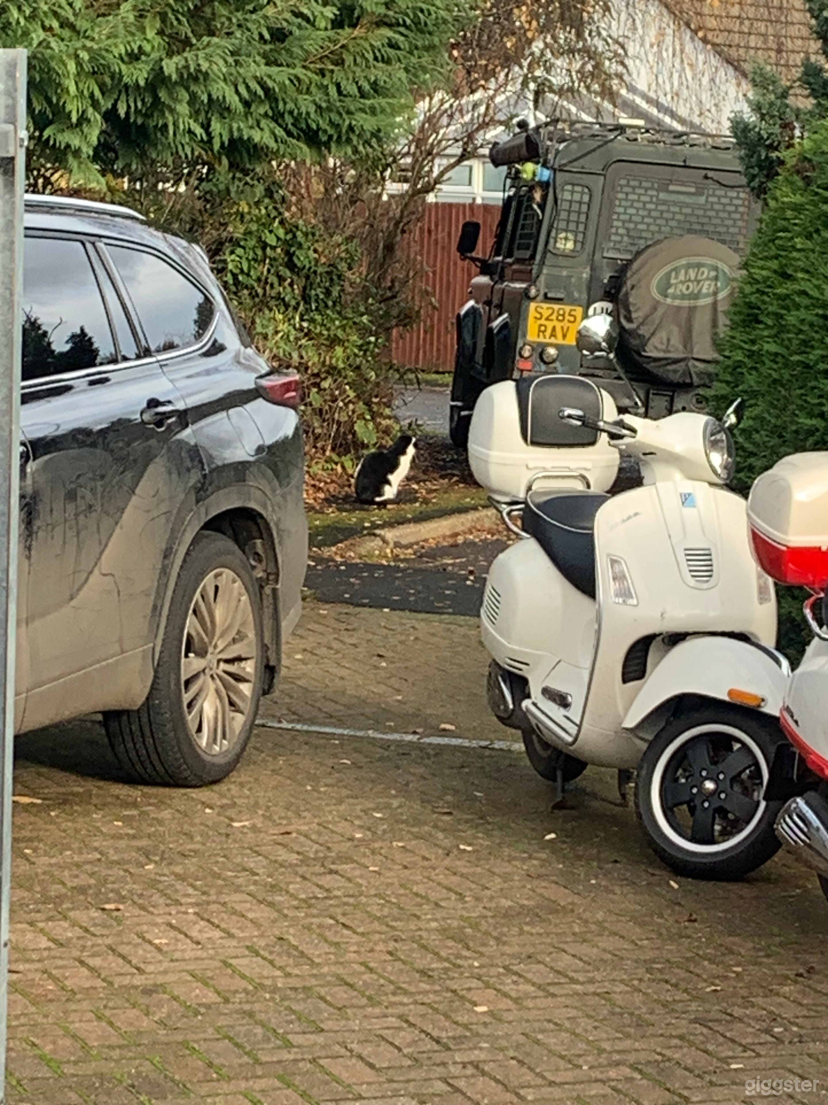 Vespa Gts 250 from USA Photo 3