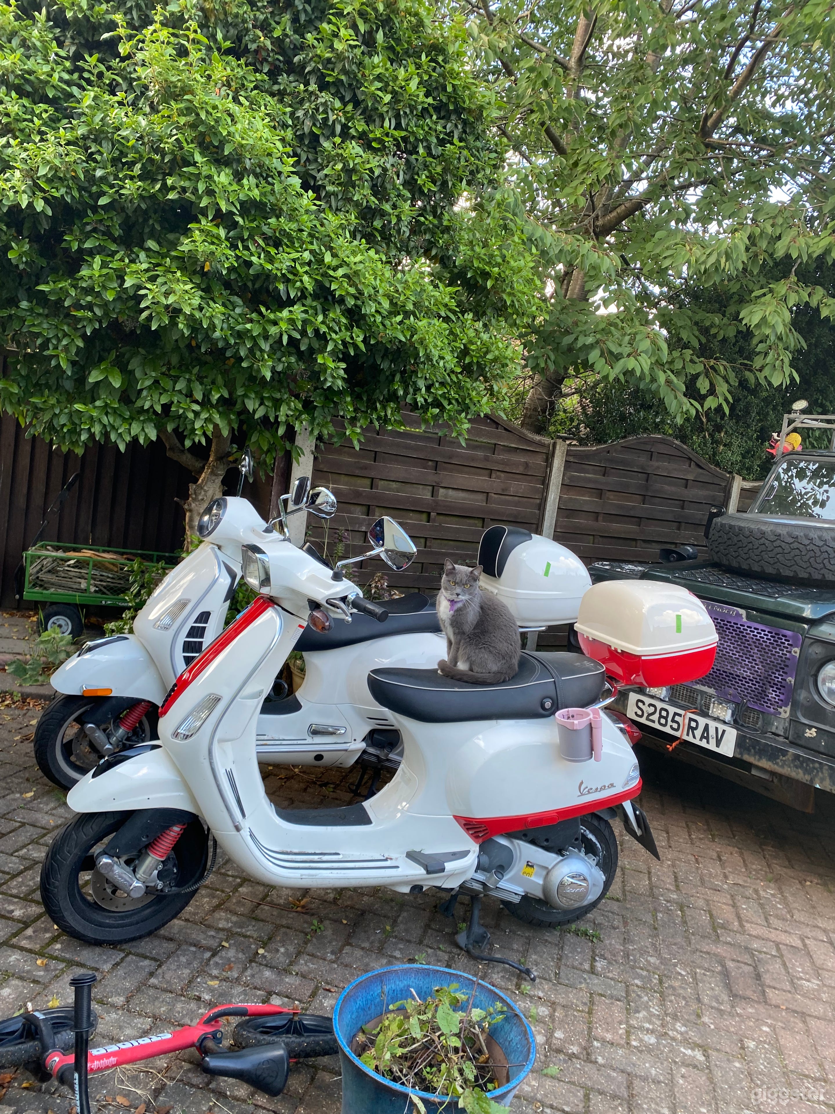 Vespa Gts 250 from USA Photo 4