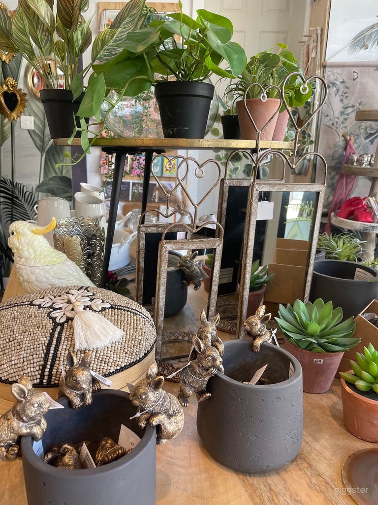  Gift Shop in Stunning 18th Century Building 