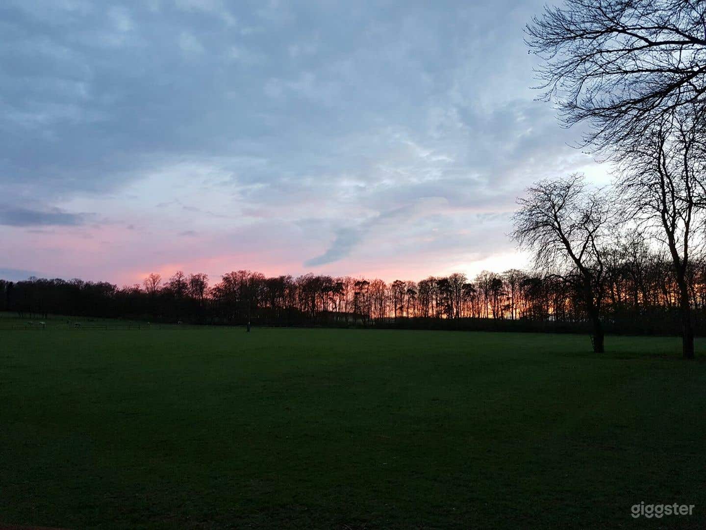 Cozy and Spacious Outdoor Garden Photo 3