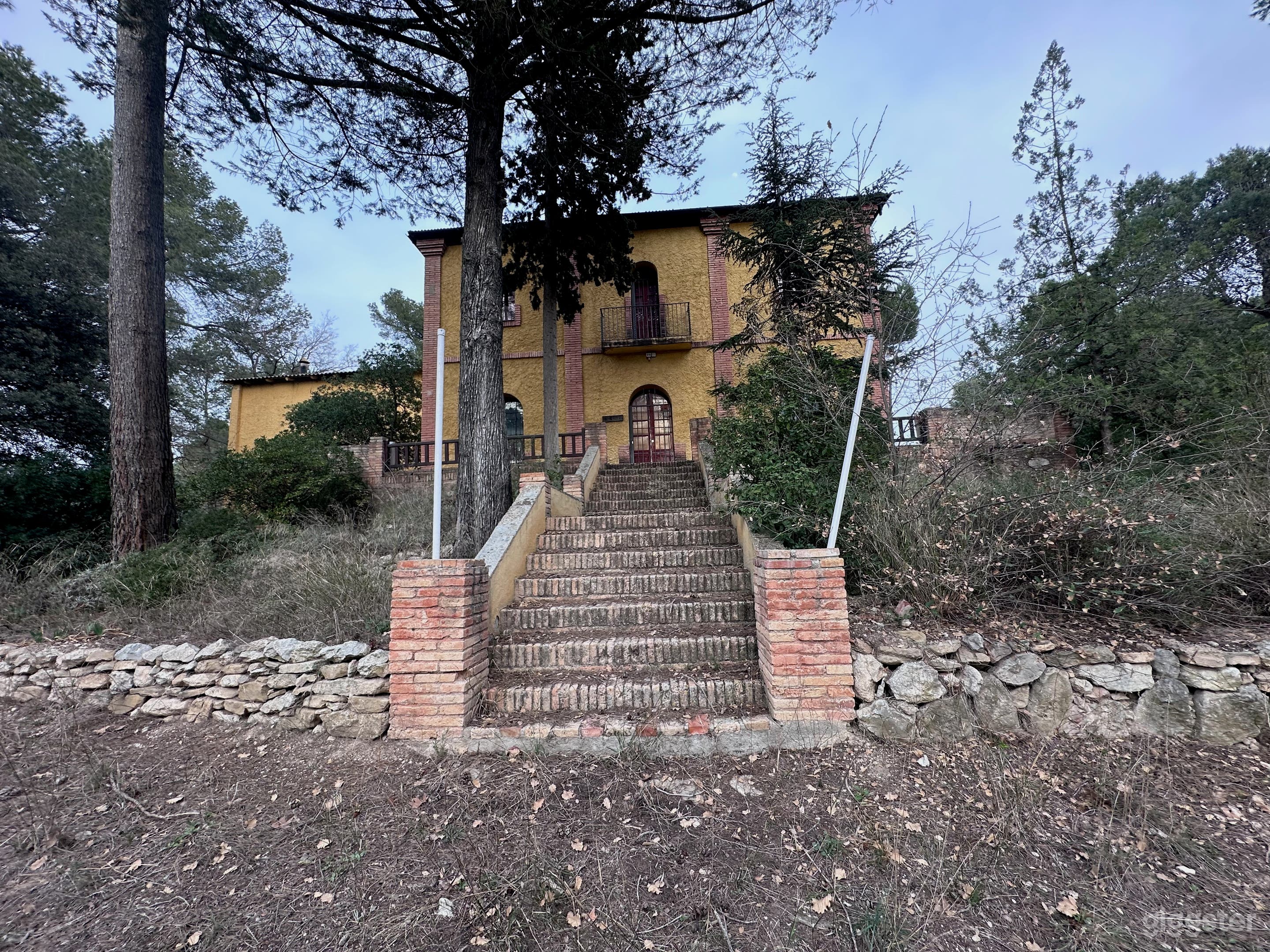 Raw Historic Villa with Pine Forest Setting and Grounds Photo 1