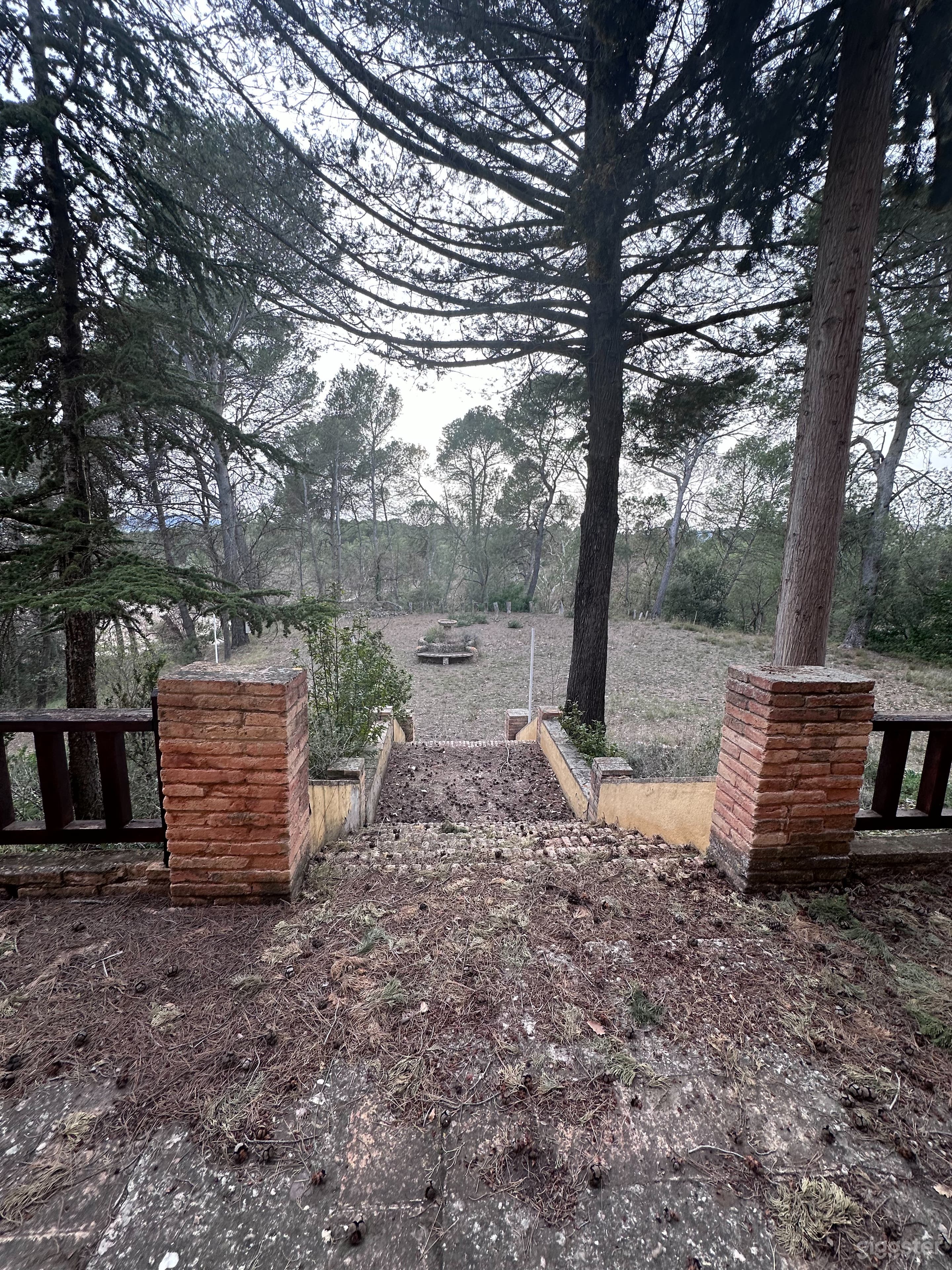 Raw Historic Villa with Pine Forest Setting and Grounds Photo 2