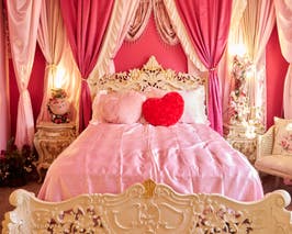  The Pink House Houston 