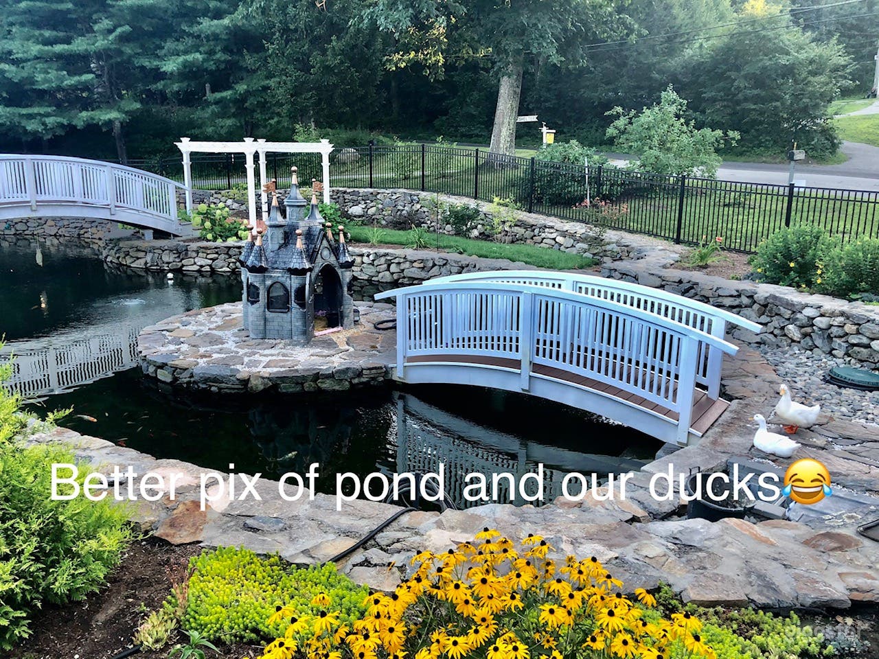 Pond - different views