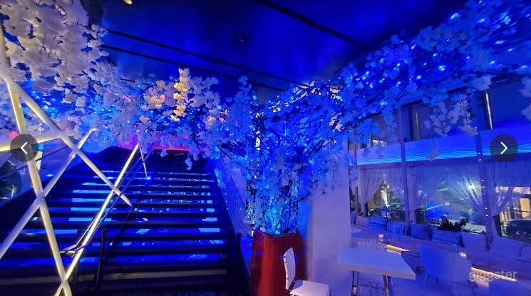 The Bar &amp; The Lounge in Manhattan Photo 2