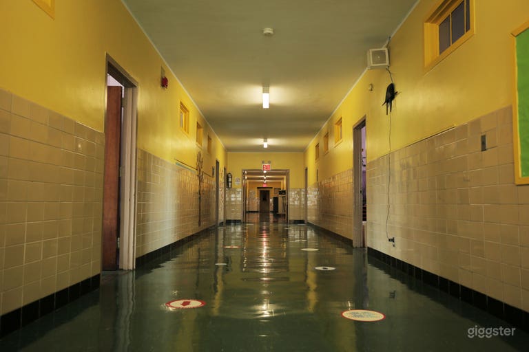  New York School w/ Classrooms, Gym, Hallways 