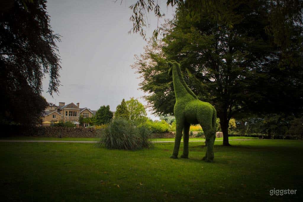 Bright and Spacious Outdoor Space and Garden Photo 1