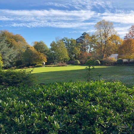 Bright and Spacious Outdoor Space and Garden Photo 3