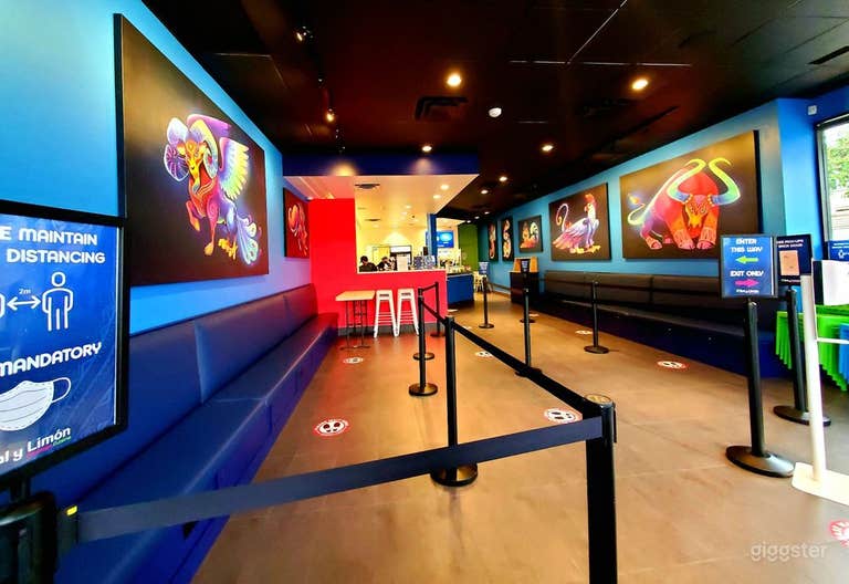  Colourful and vibrant design 