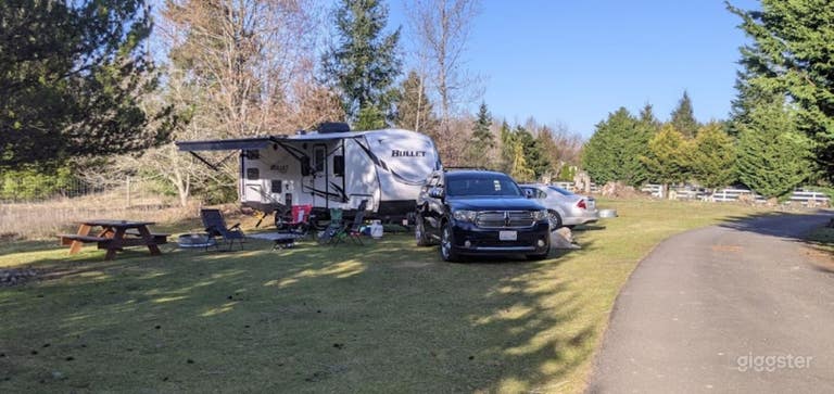   Beautiful Alpaca Farm And Camping Site In Yelm -3 