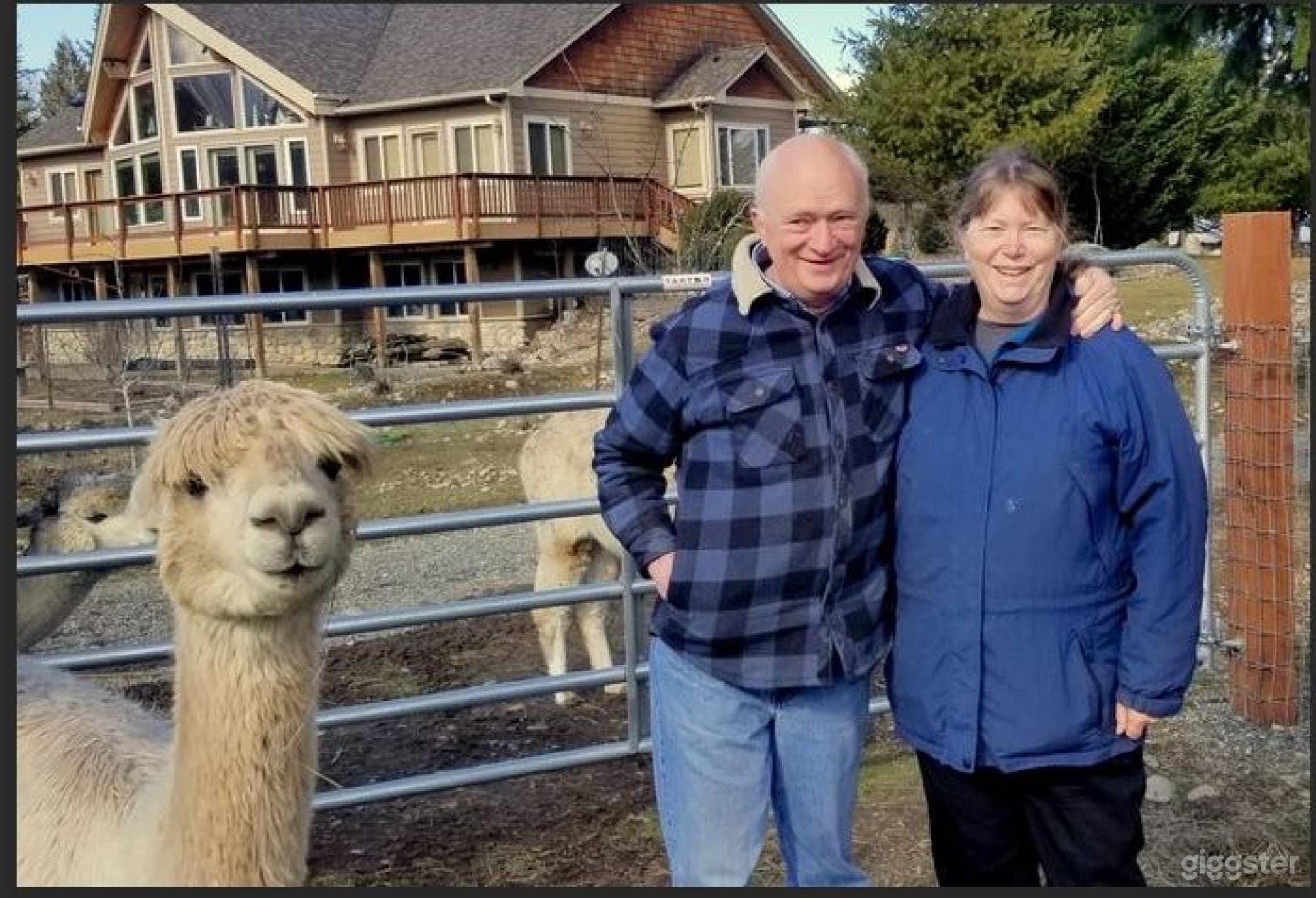  Beautiful Alpaca Farm And Camping Site In Yelm -3 Photo 4