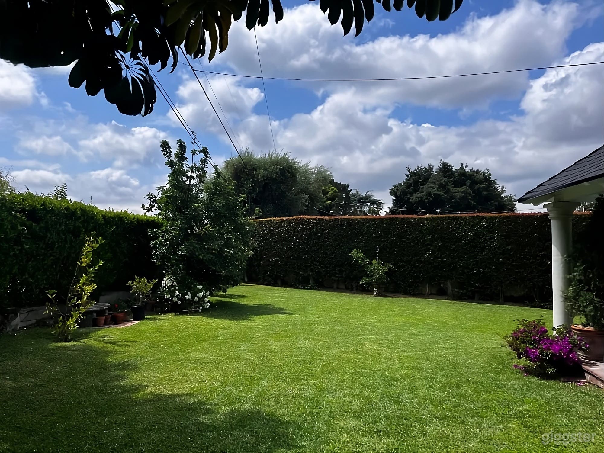 Lush Garden Backyard with Outdoor Fireplace Photo 4