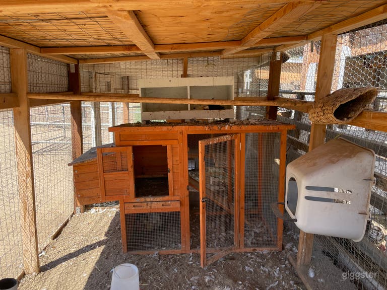  Chicken coop 
