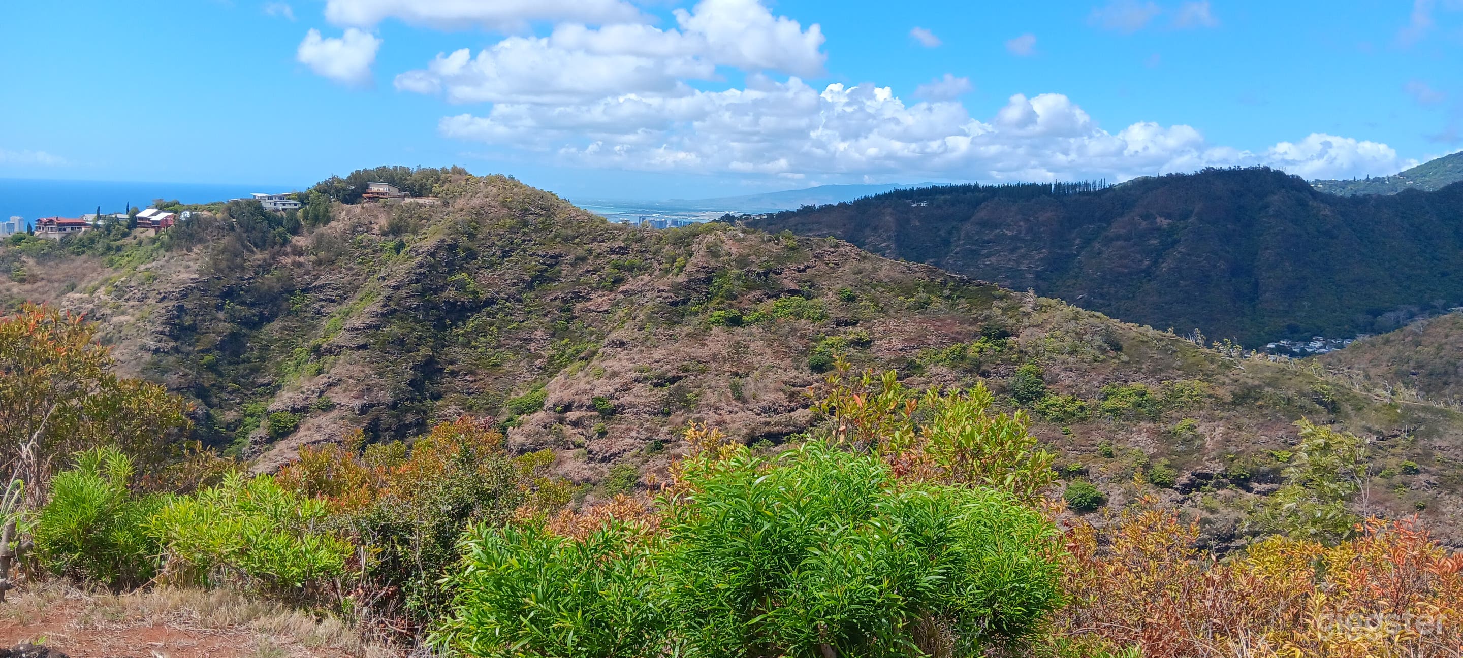 Back yard over looking mountains.