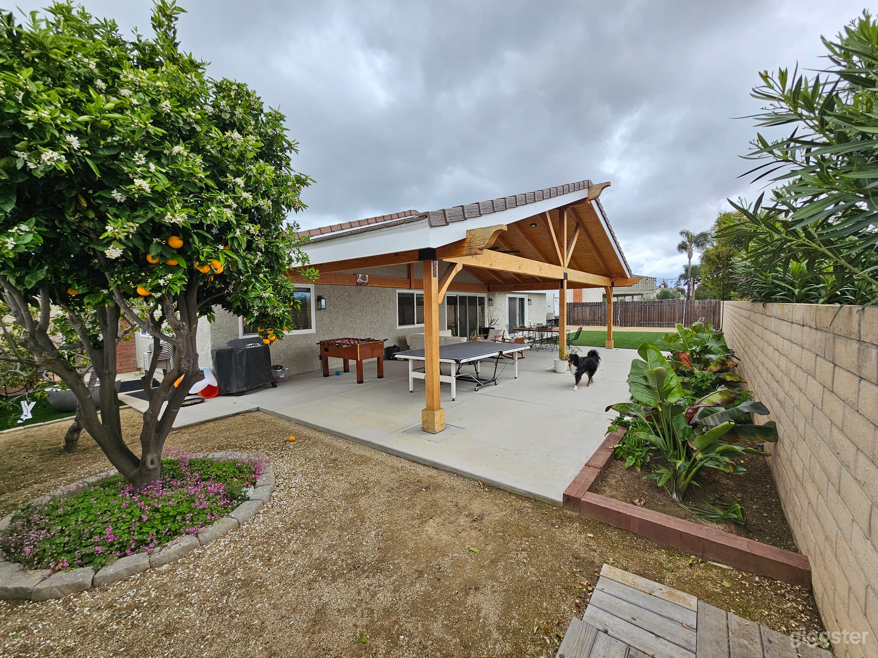 We have an orange tree, peach tree and several other plants.