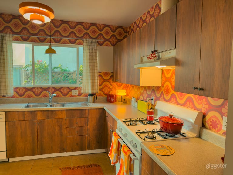  Vintage 70s Mid-Century House #333 