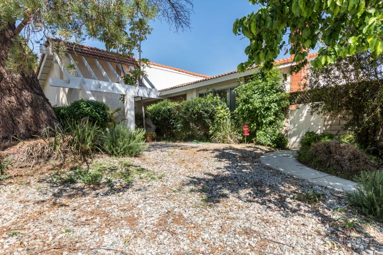  Spanish Contemporary Beauty 