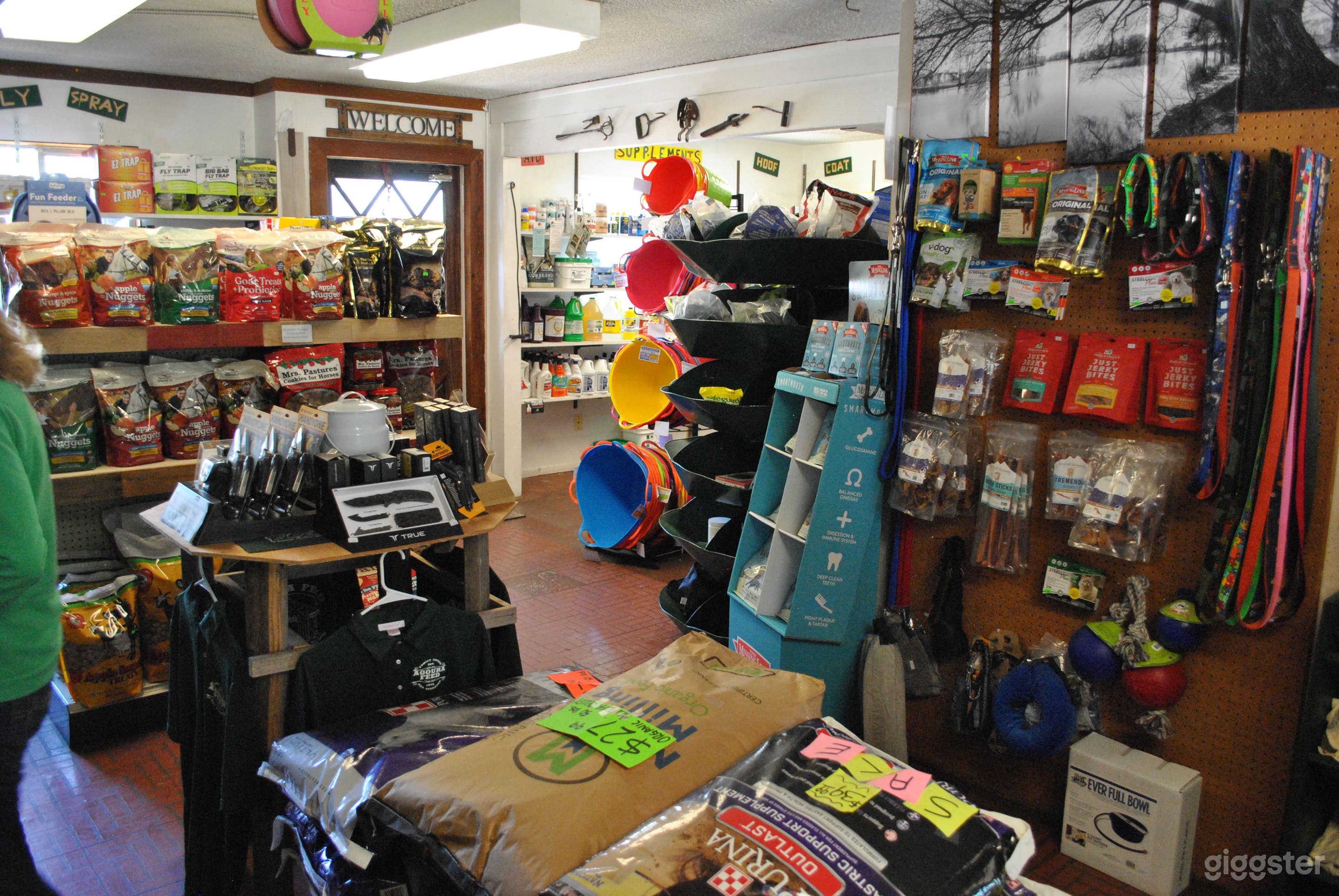 2500 Sq Ft Large Open Lot with Retail Space Photo 4