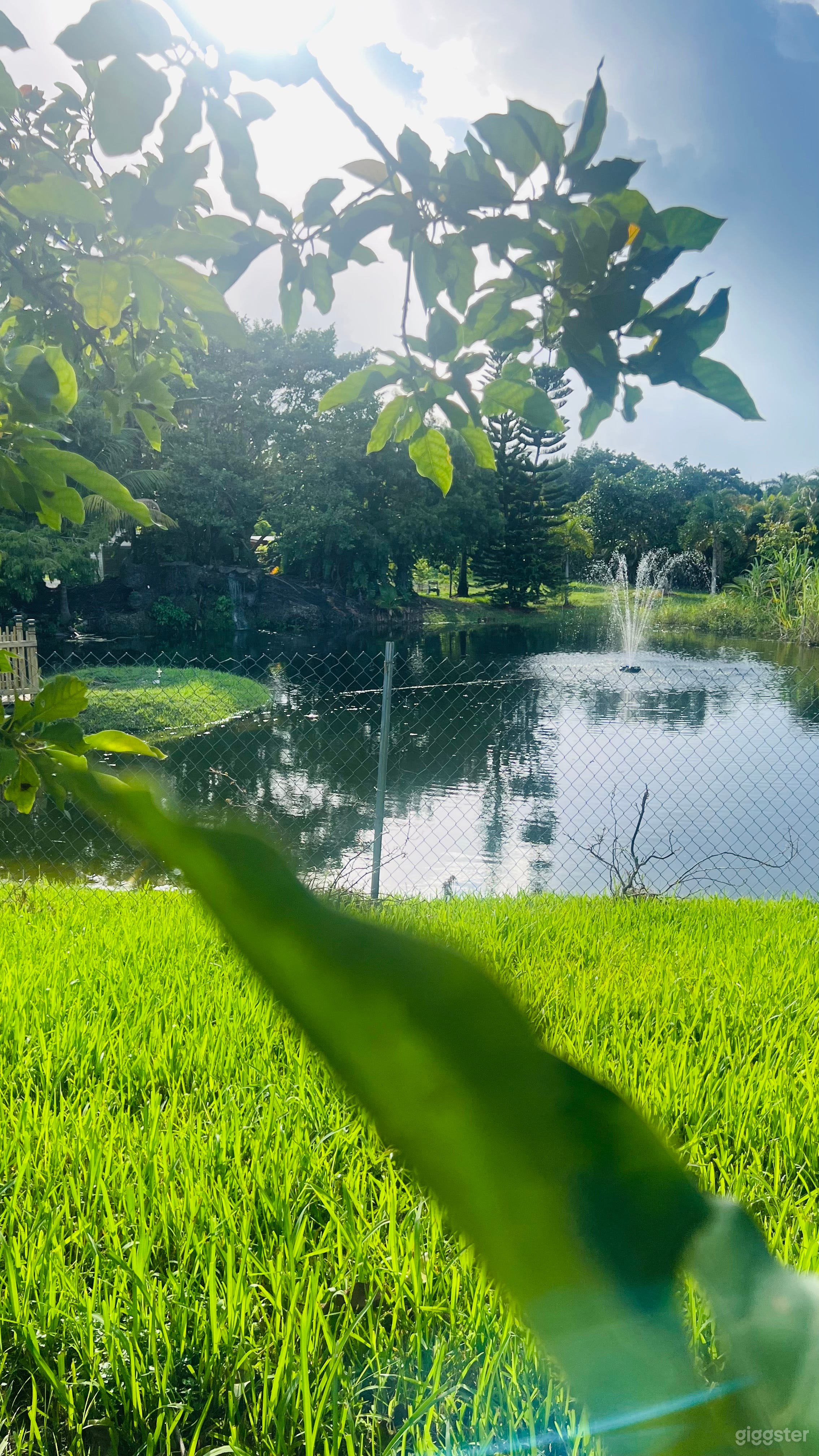 Hidden Paradise Ranch - private event venue Photo 3