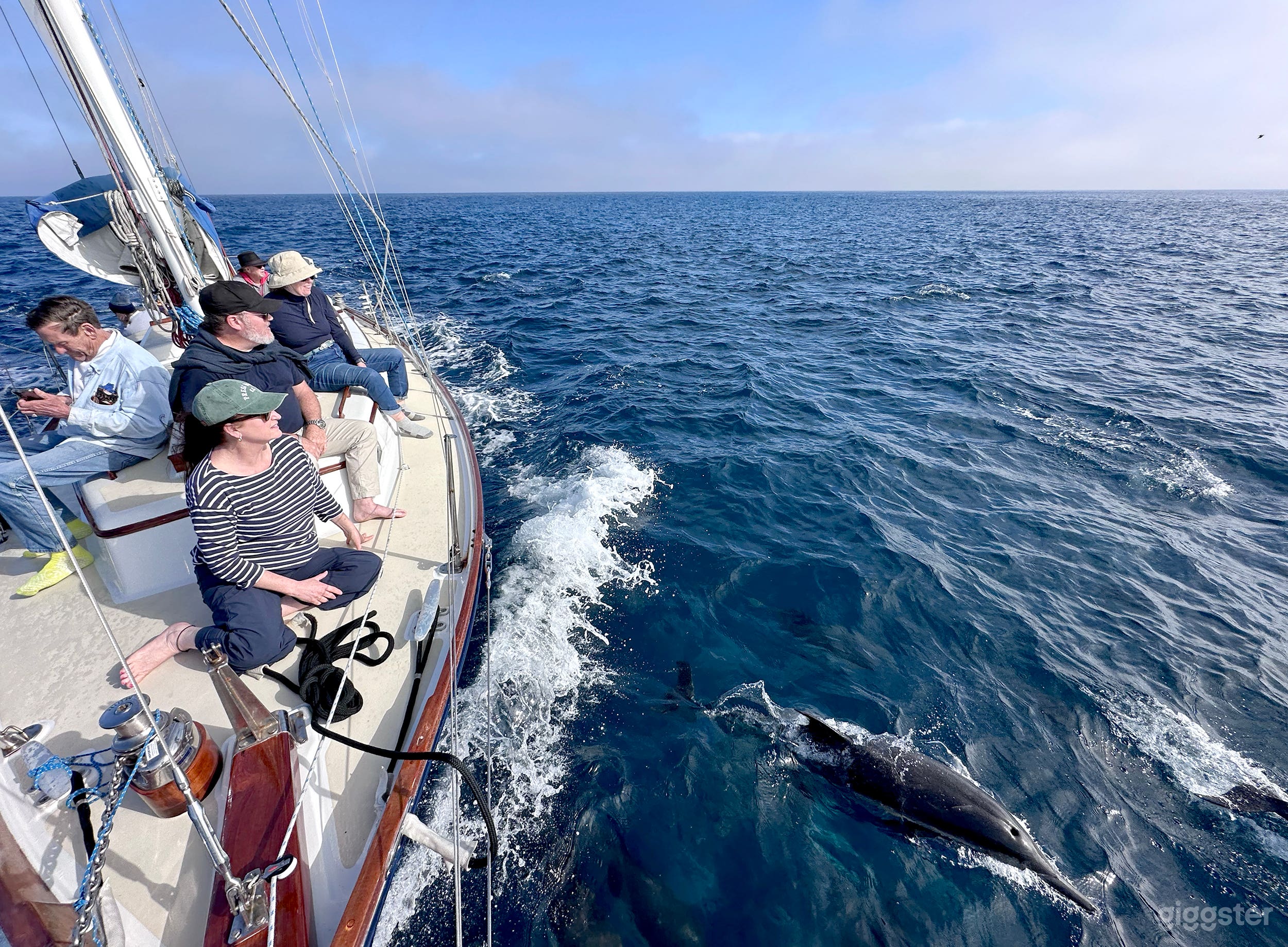 Sailing Yacht Kelpie Photo 4