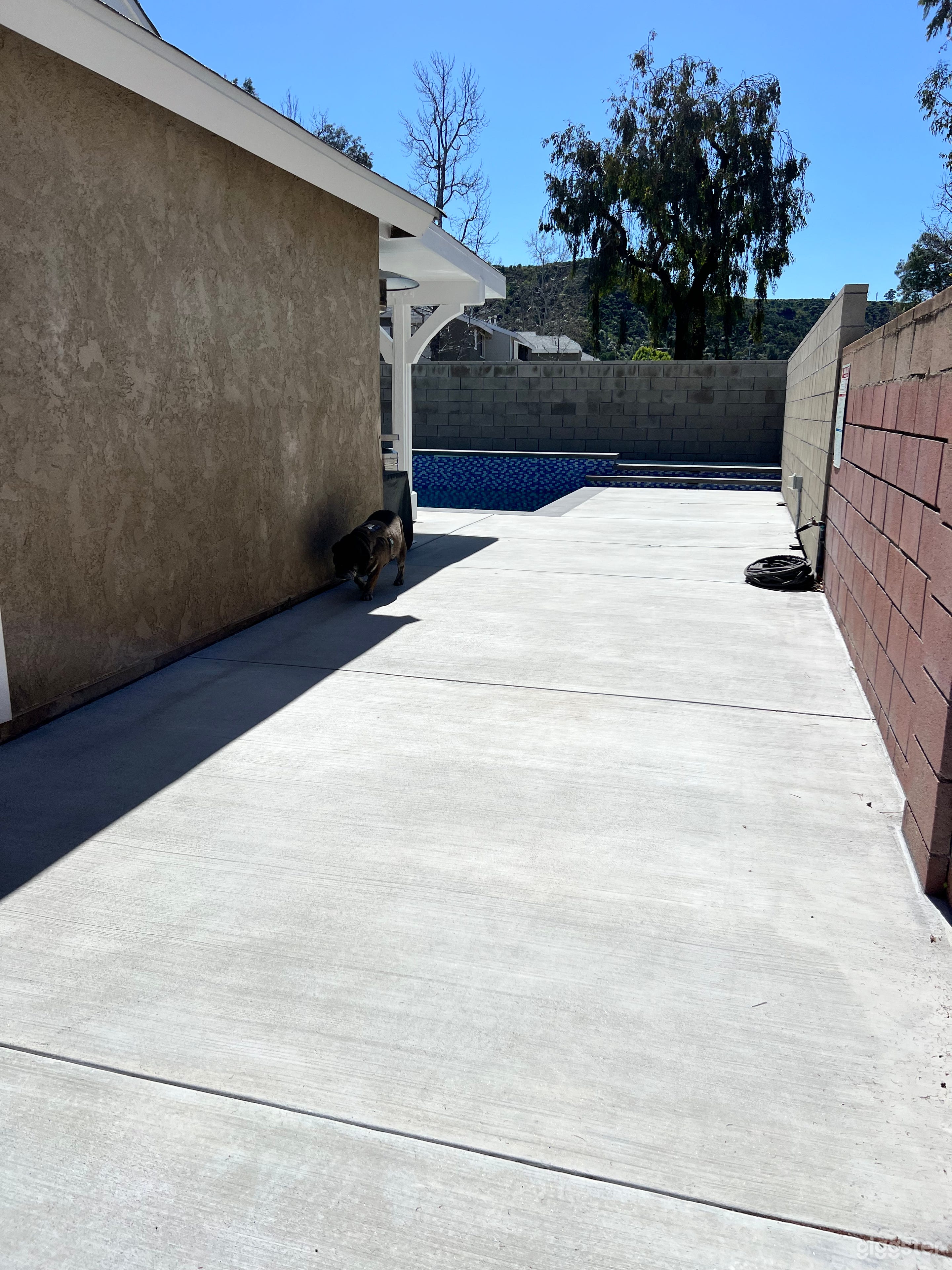 Backyard tranquility Photo 4