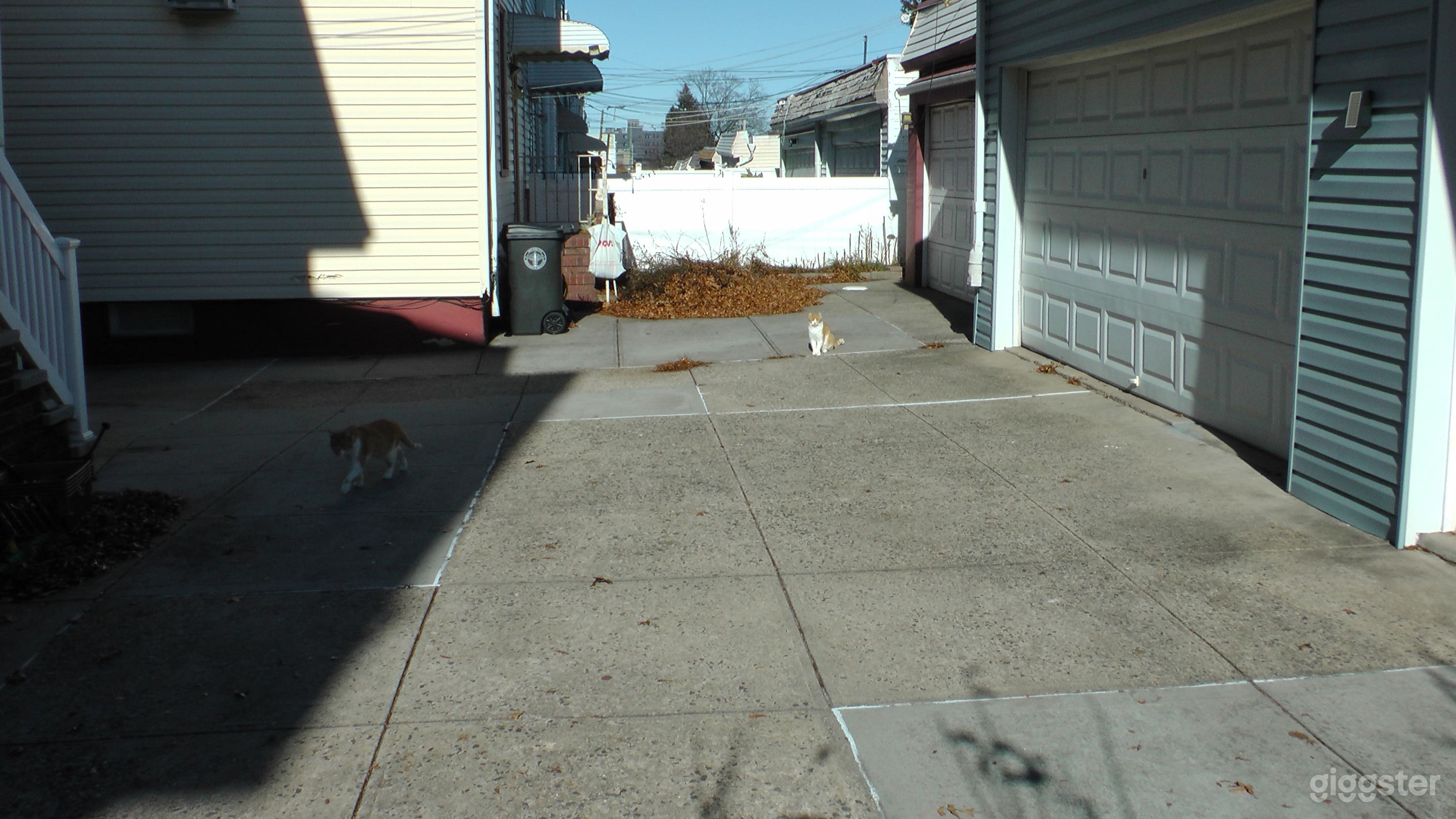 Open Concrete Backyard Photo 4