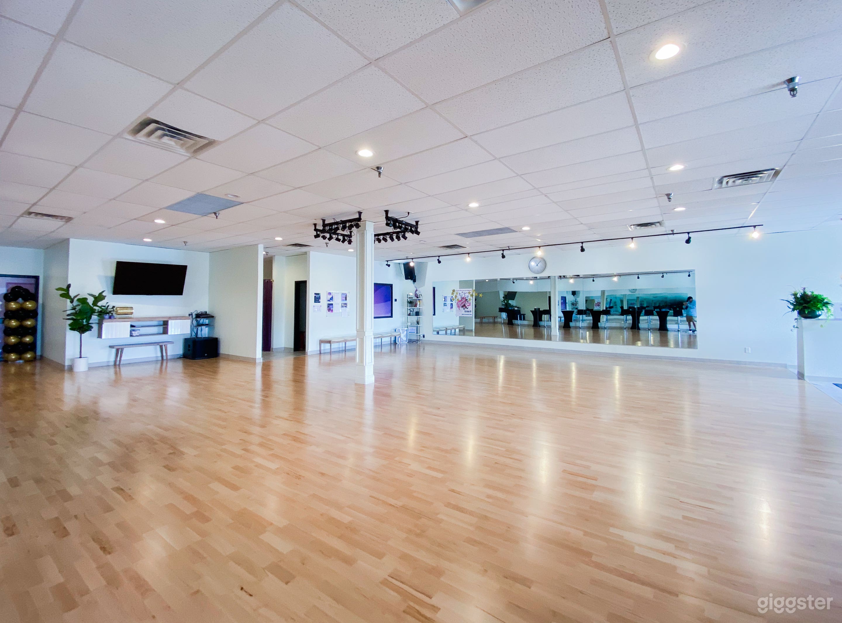 Beautiful dance studio in  Minneapolis  Photo 1