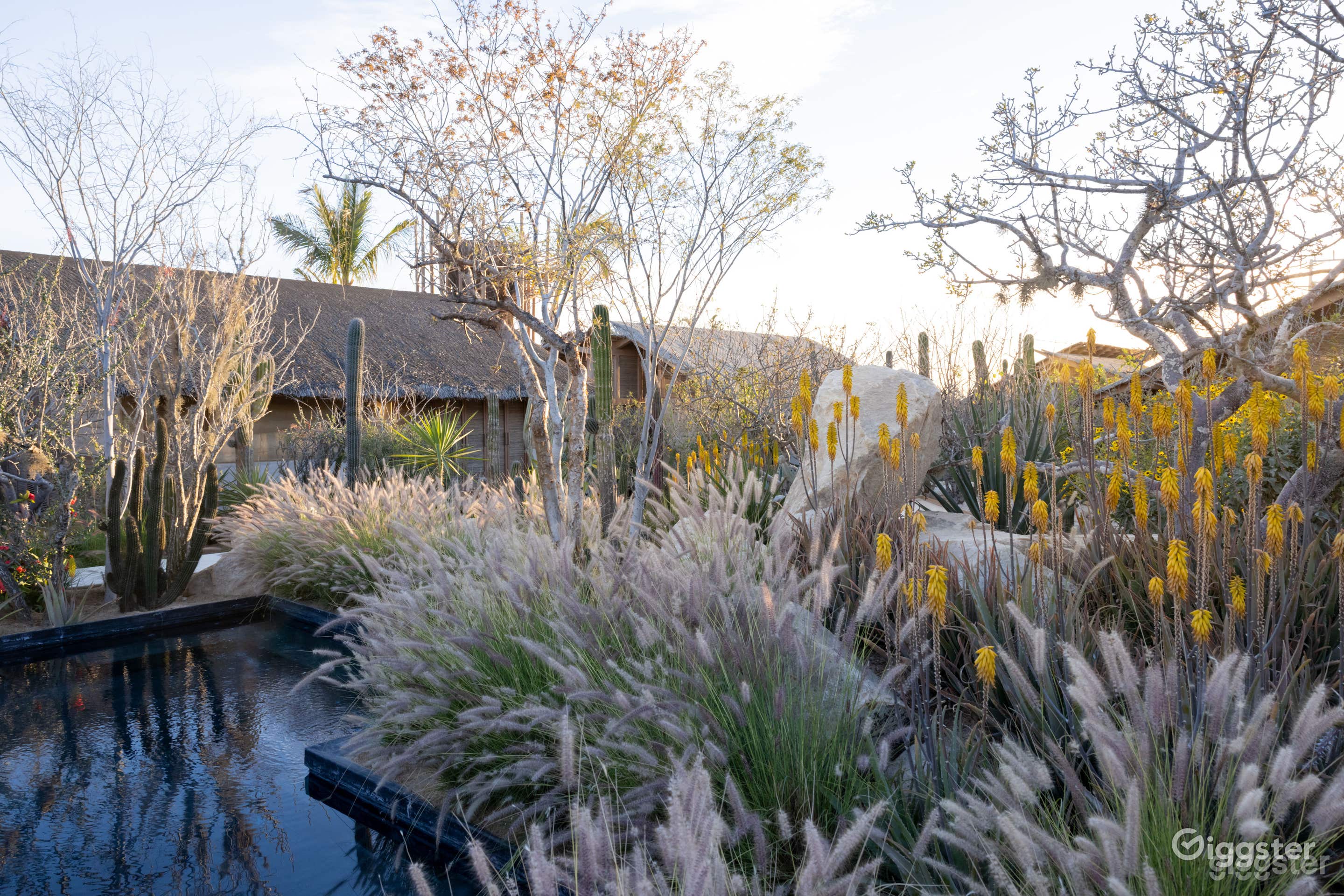 Black Bottom Pool in a Luxurious Hotel in Los Santos Mexico Photo 4