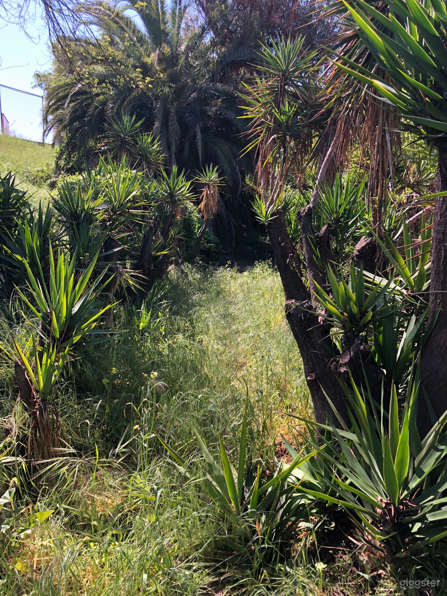 Magical bright charming 1924 Spanish cottage  Photo 4