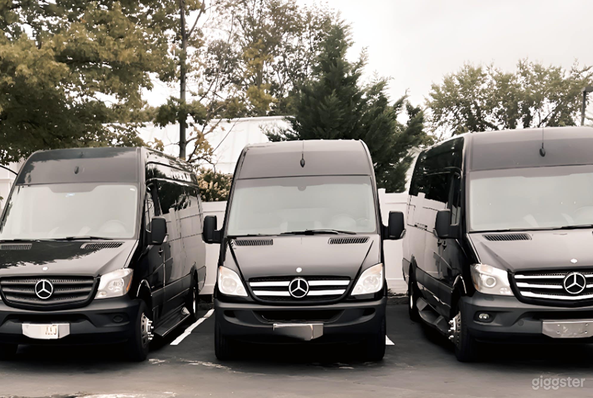 15 Passenger Party Bus Photo 1