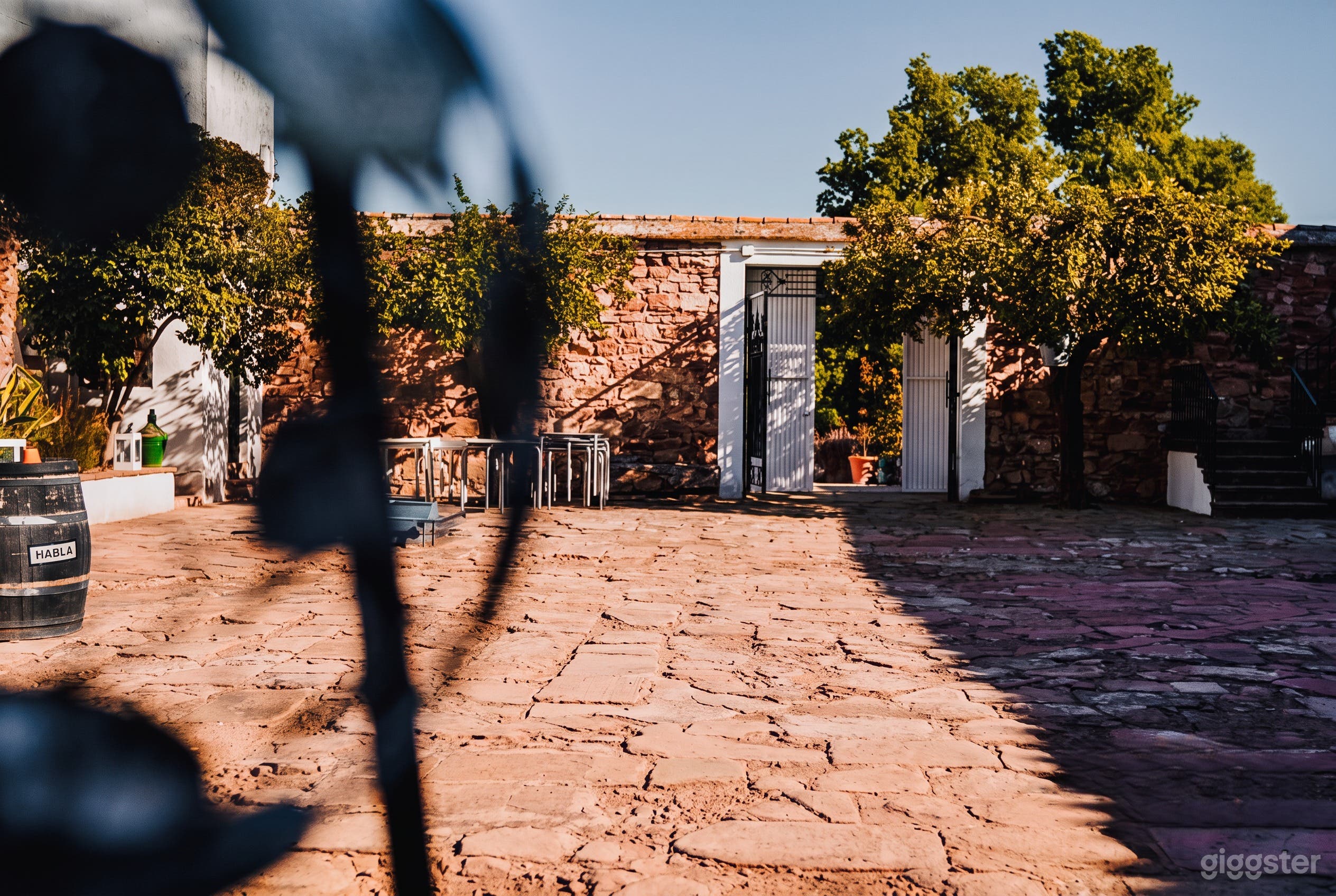 Finca histórica de olivos del siglo XVIII con molino Foto 3