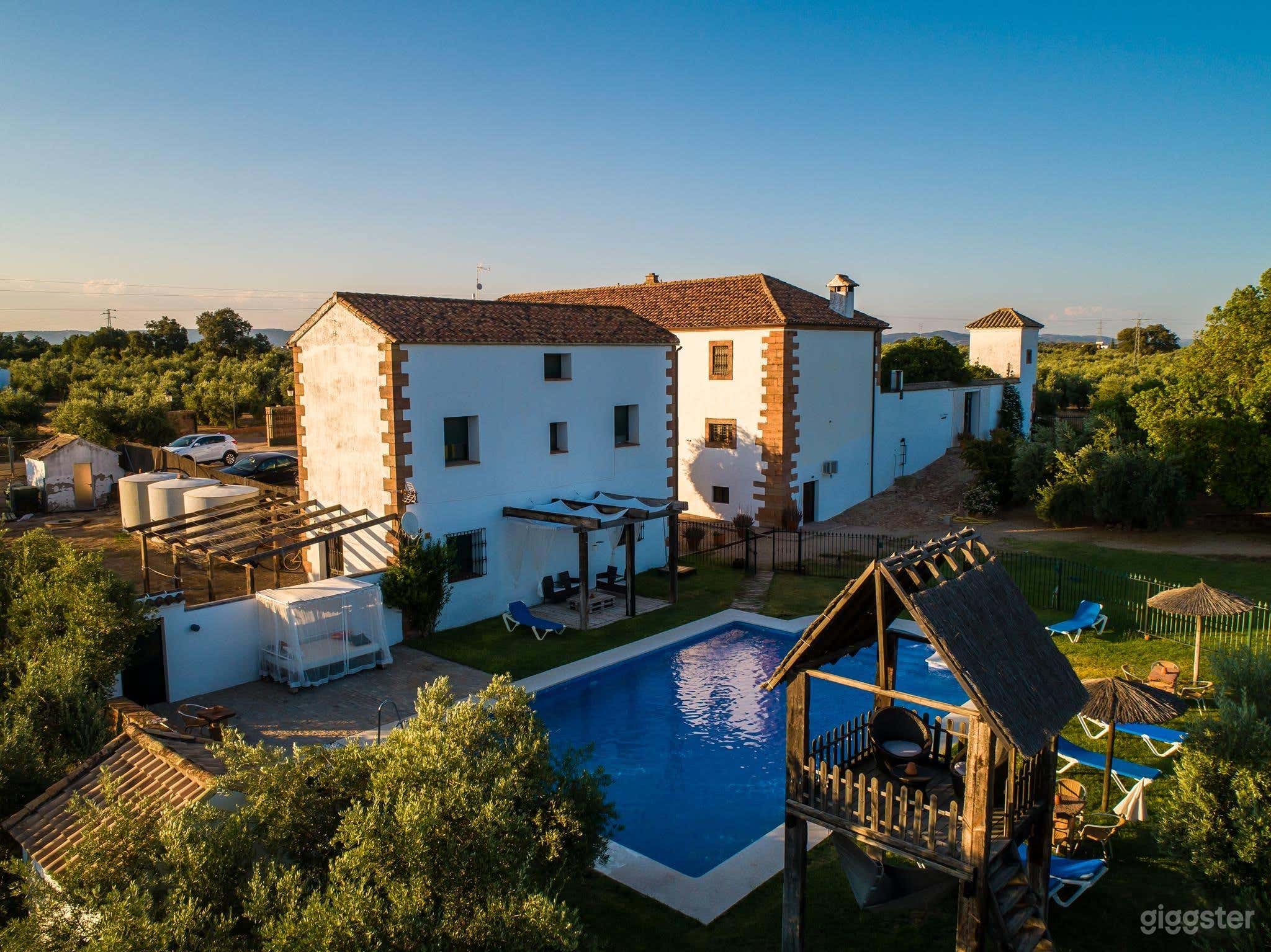 Finca histórica de olivos del siglo XVIII con molino Foto 1