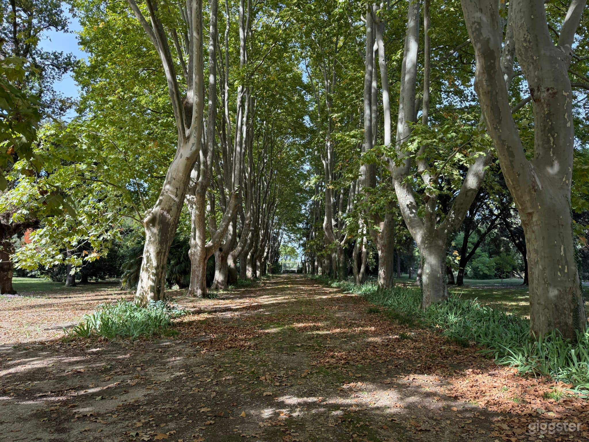 Photo de Domaine viticole avec un château de 1750 près de Provence 4