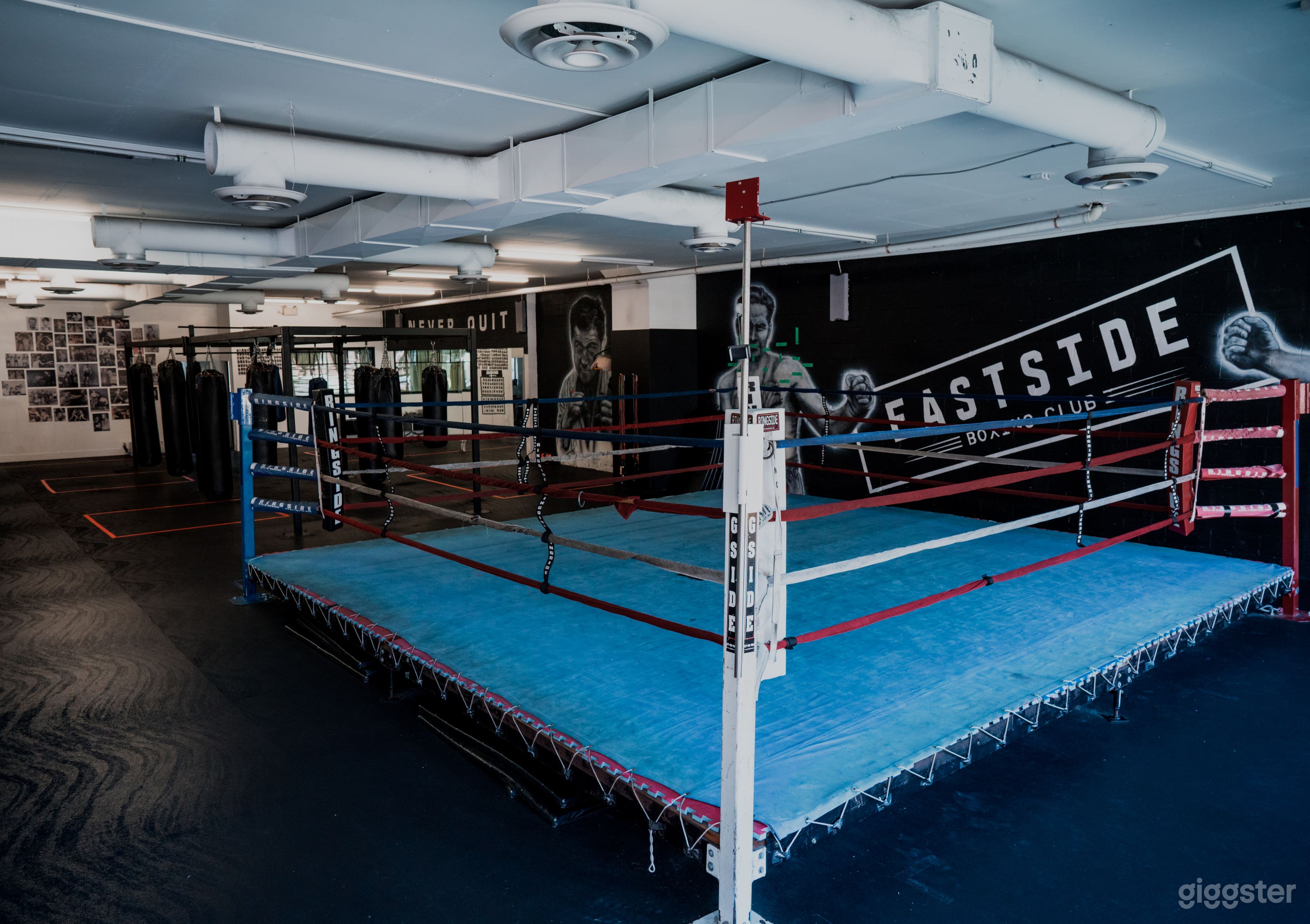 Main gym space, boxing ring,  large floor space, bag area, big windows and mirror
