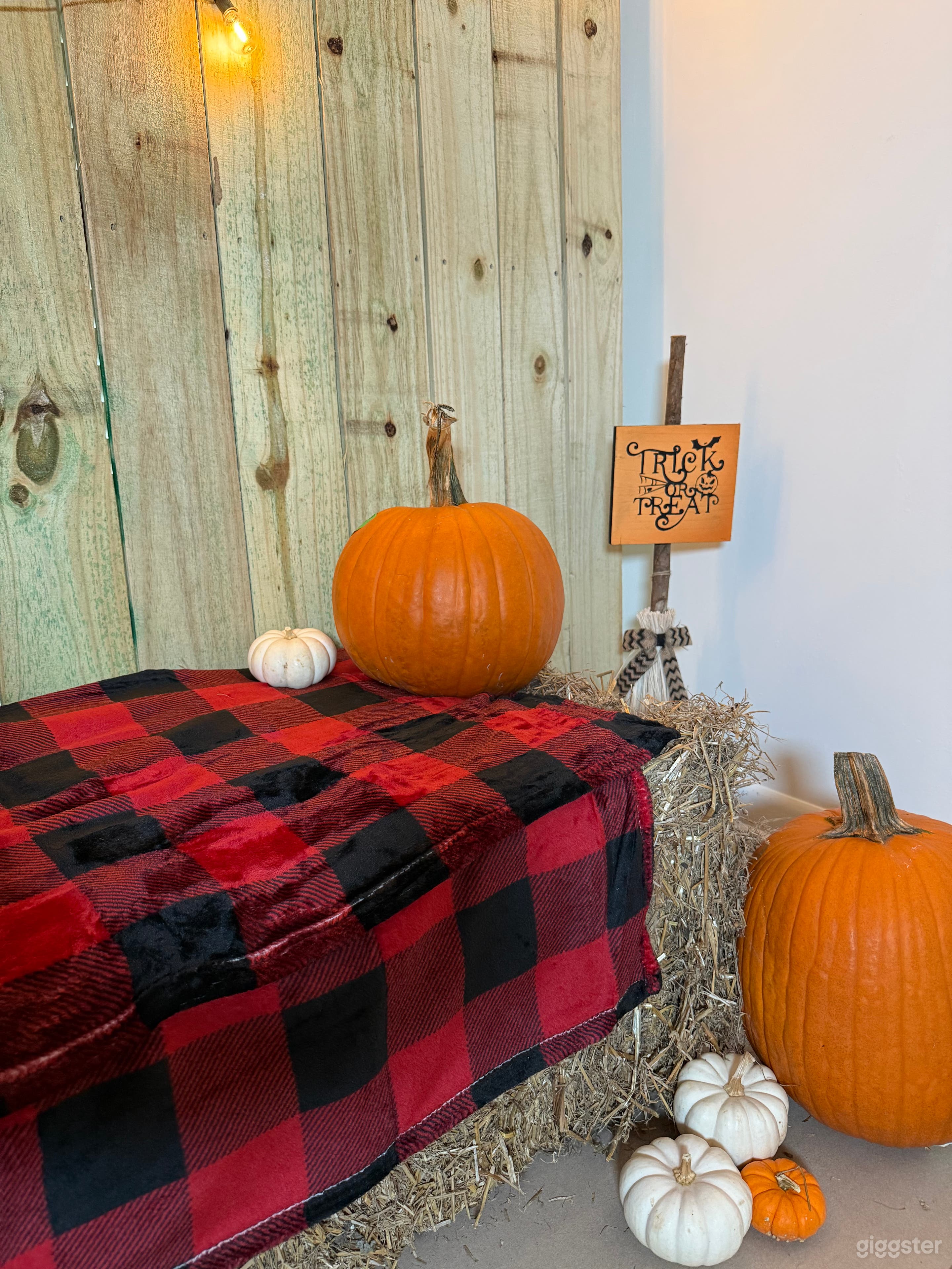 Fall &amp; Halloween Photo Room- Kid friendly Studio in Rosw Photo 4