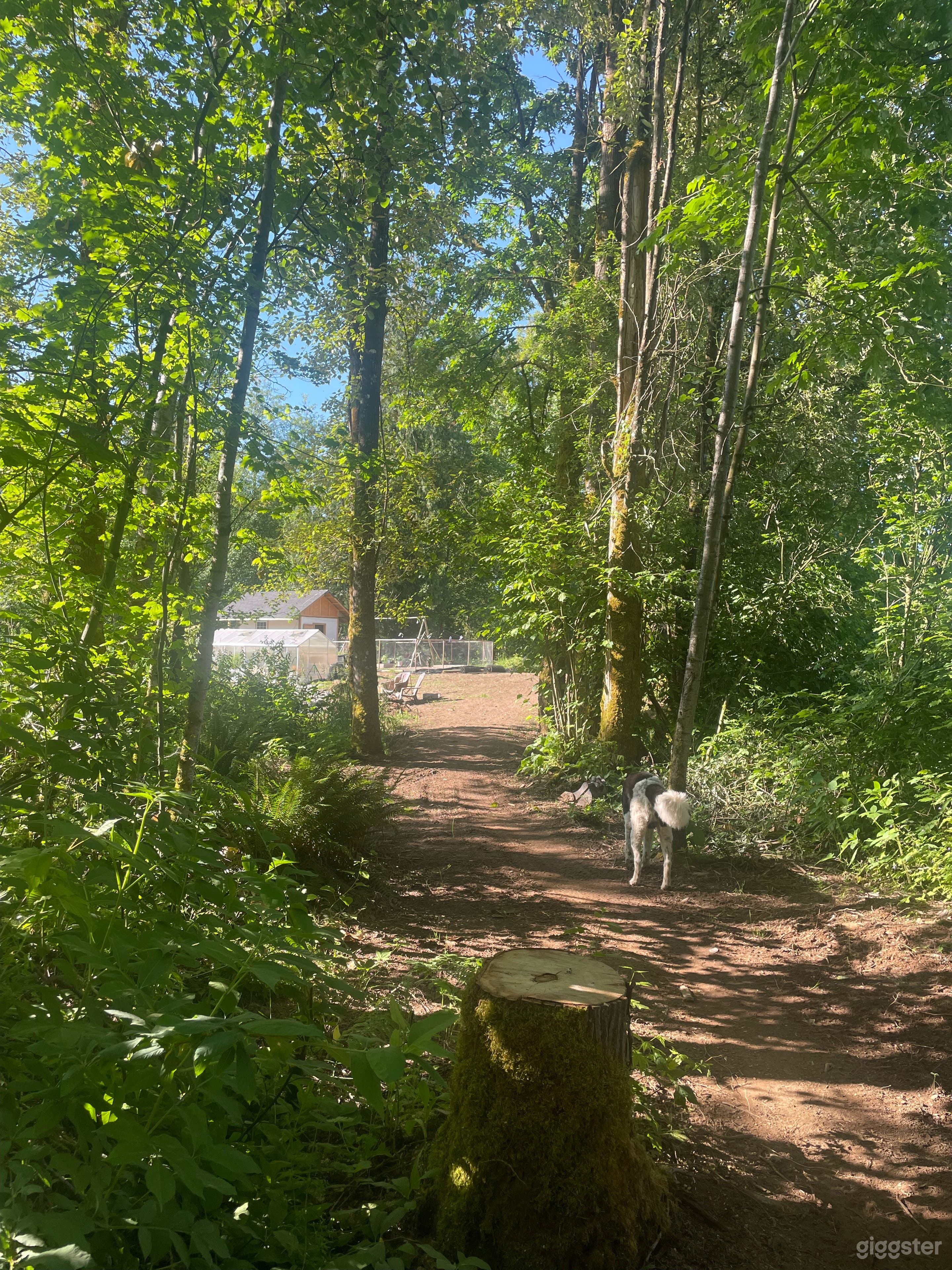 Private spacious quiet natural Photo 4