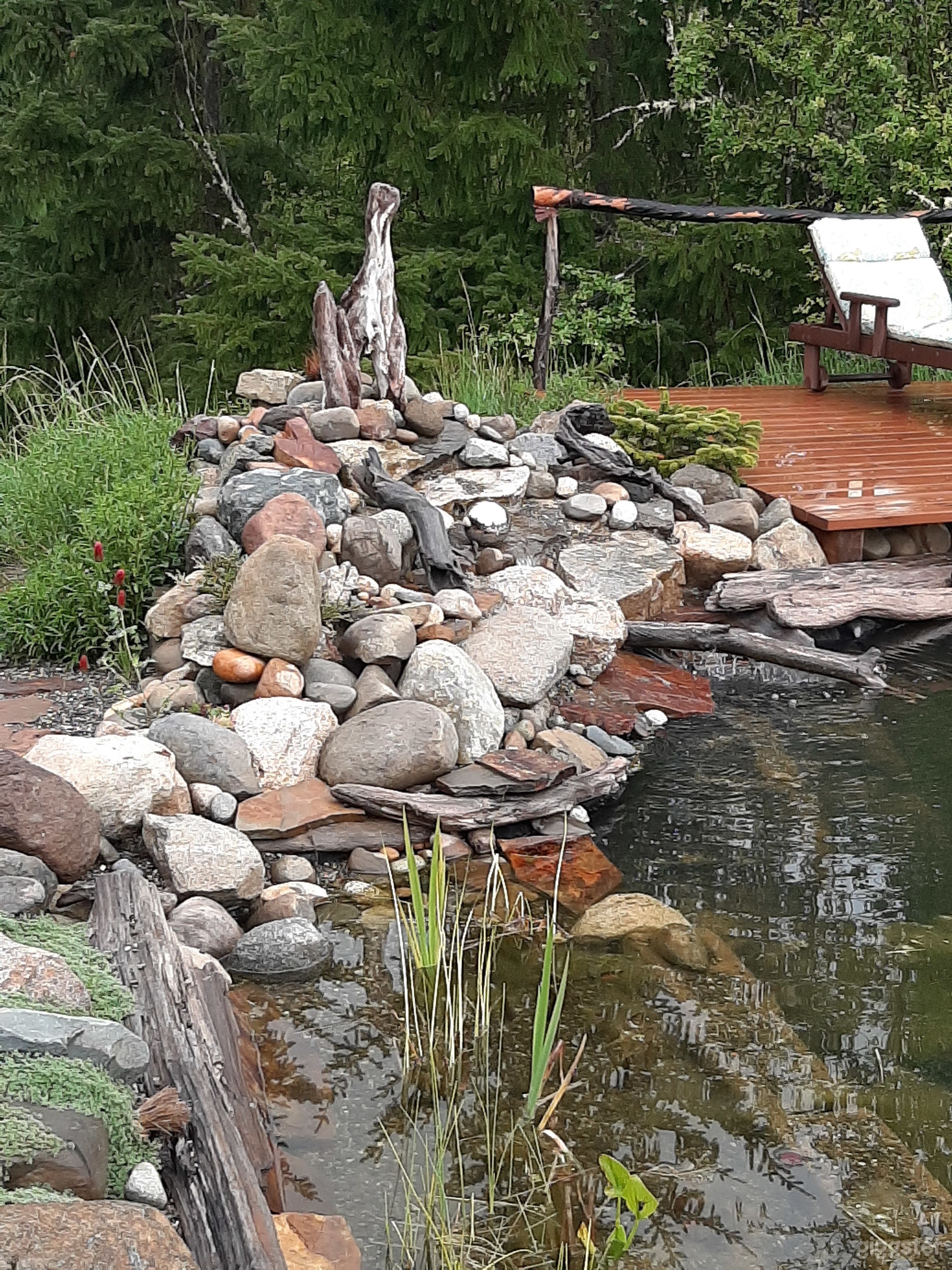 fireplace. Over natural pool.