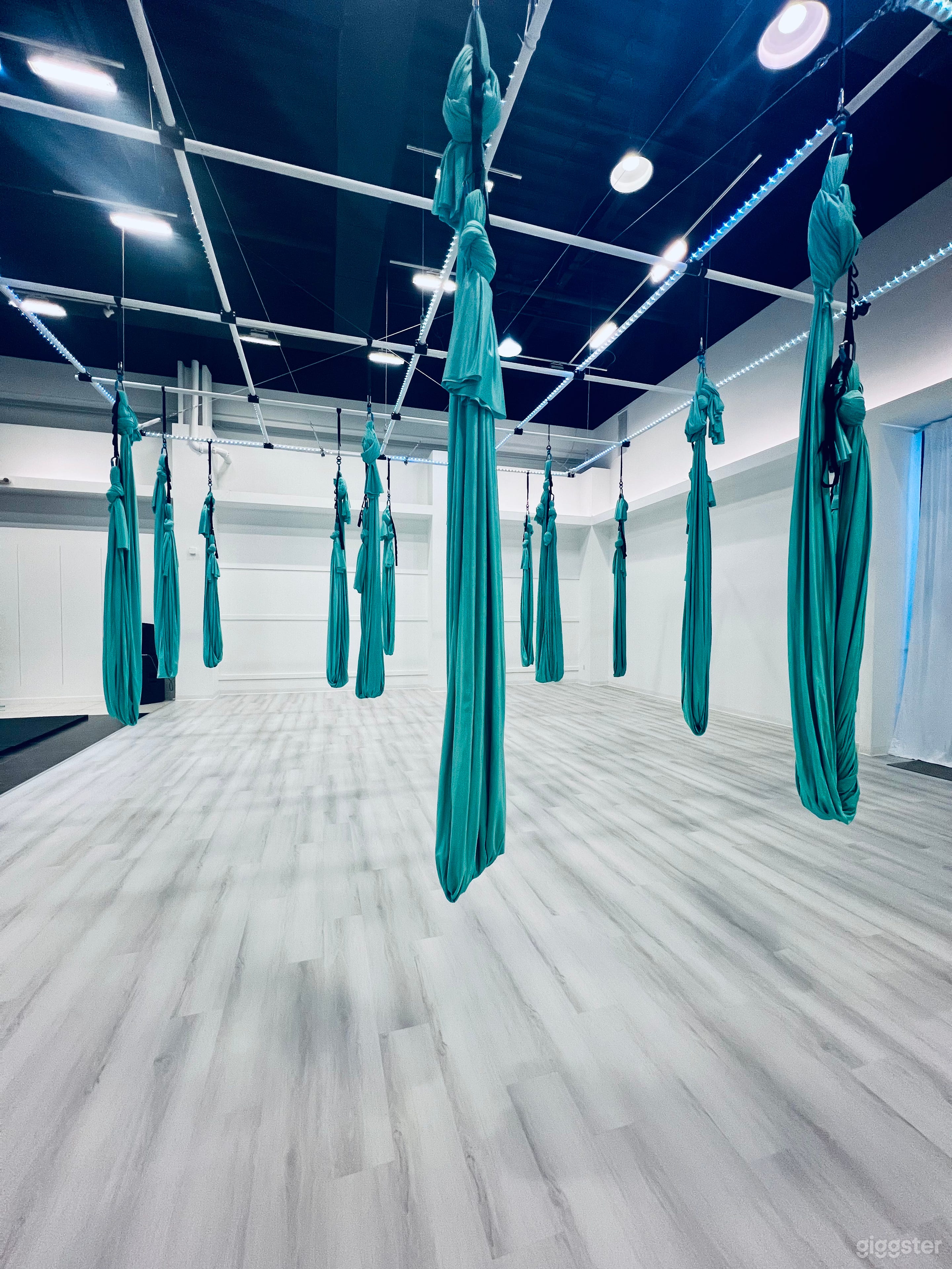 Aerial Studio, Gym, High Ceiling, Yoga and Dance Photo 2