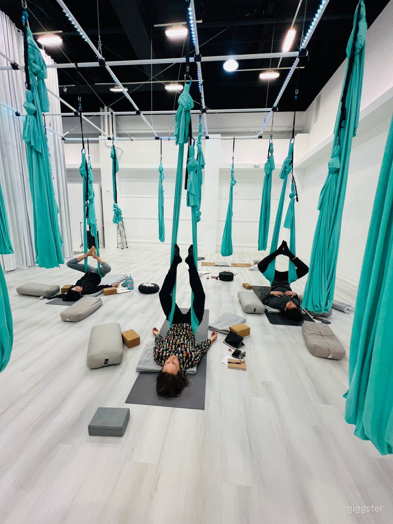 Yoga, dance, and aerial Yoga studio with floating grid. 