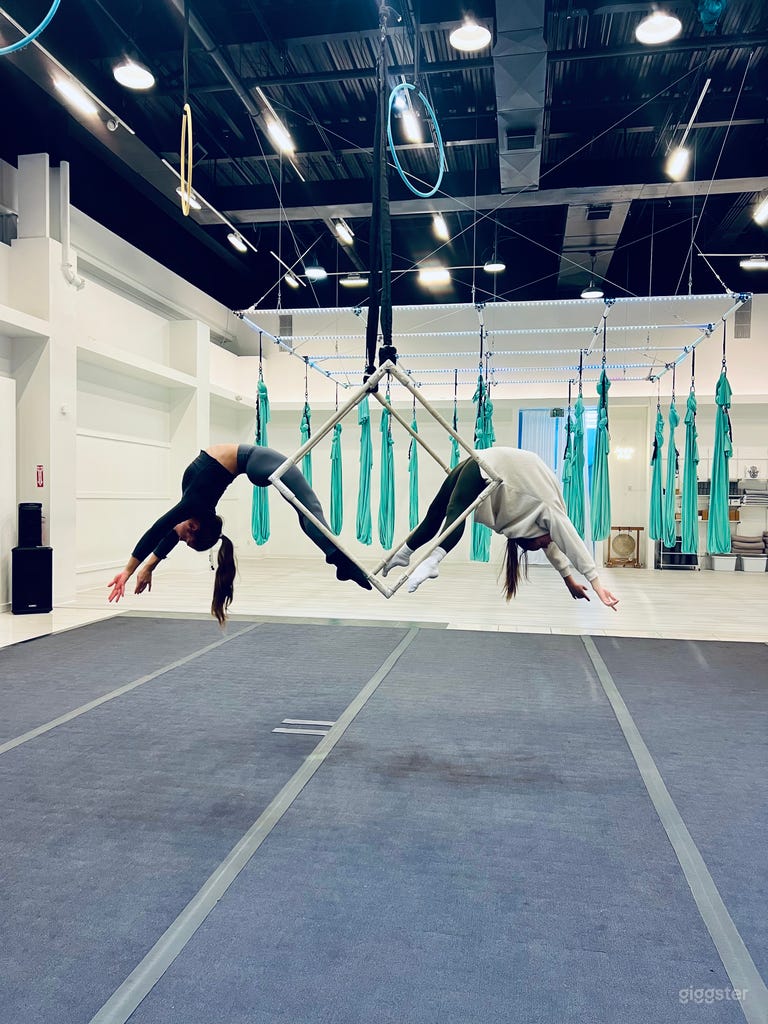  Aerial Studio, Gym, High Ceiling, Yoga and Dance 