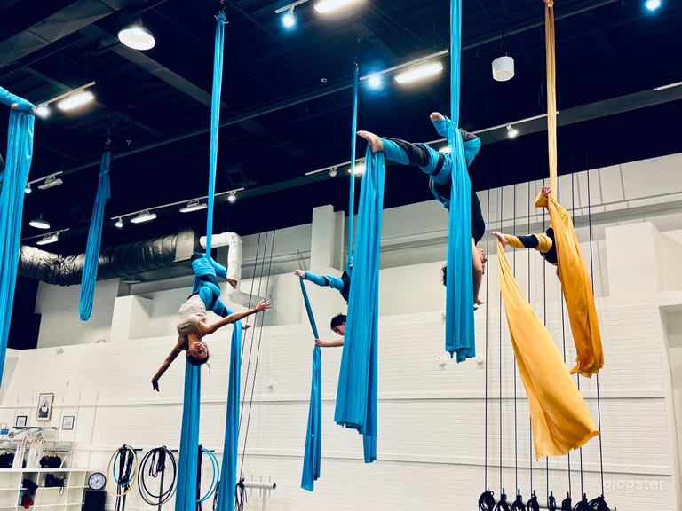  Aerial Studio, Gym, High Ceiling, Yoga and Dance 