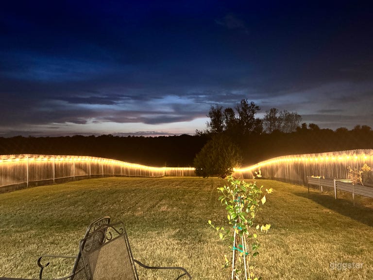  Modern Home • Greenbelt Backyard • String Lights 