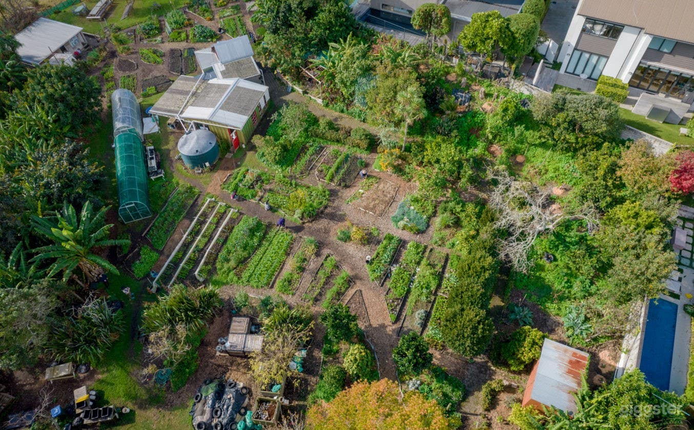 Wonderful Community Farm in the Heart of Auckland Photo 1