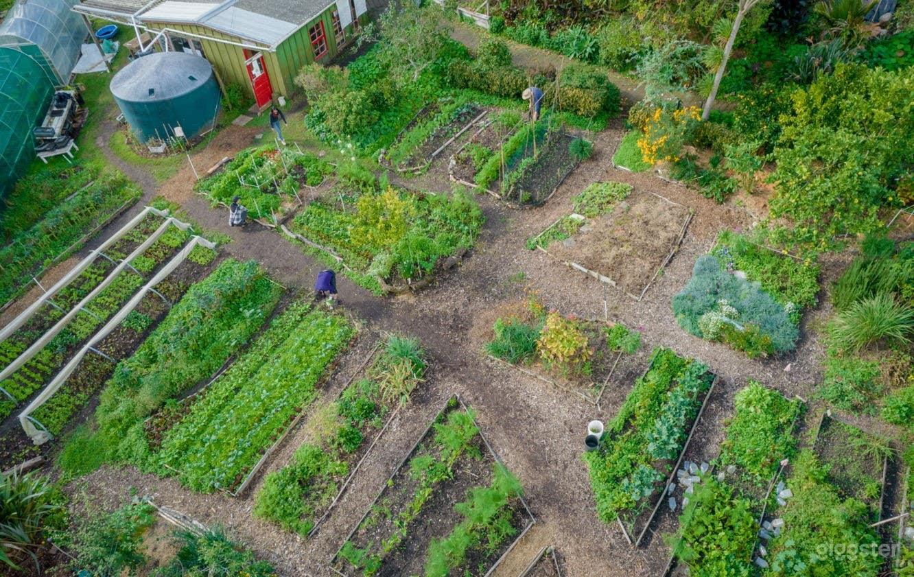 Wonderful Community Farm in the Heart of Auckland Photo 3