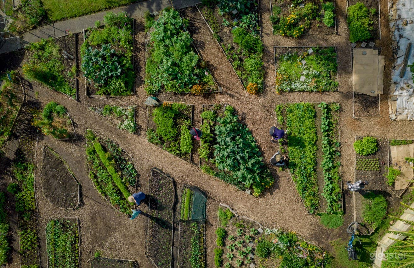 Wonderful Community Farm in the Heart of Auckland Photo 4