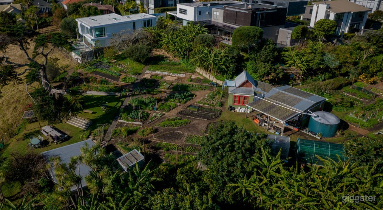 Wonderful Community Farm in the Heart of Auckland Photo 2