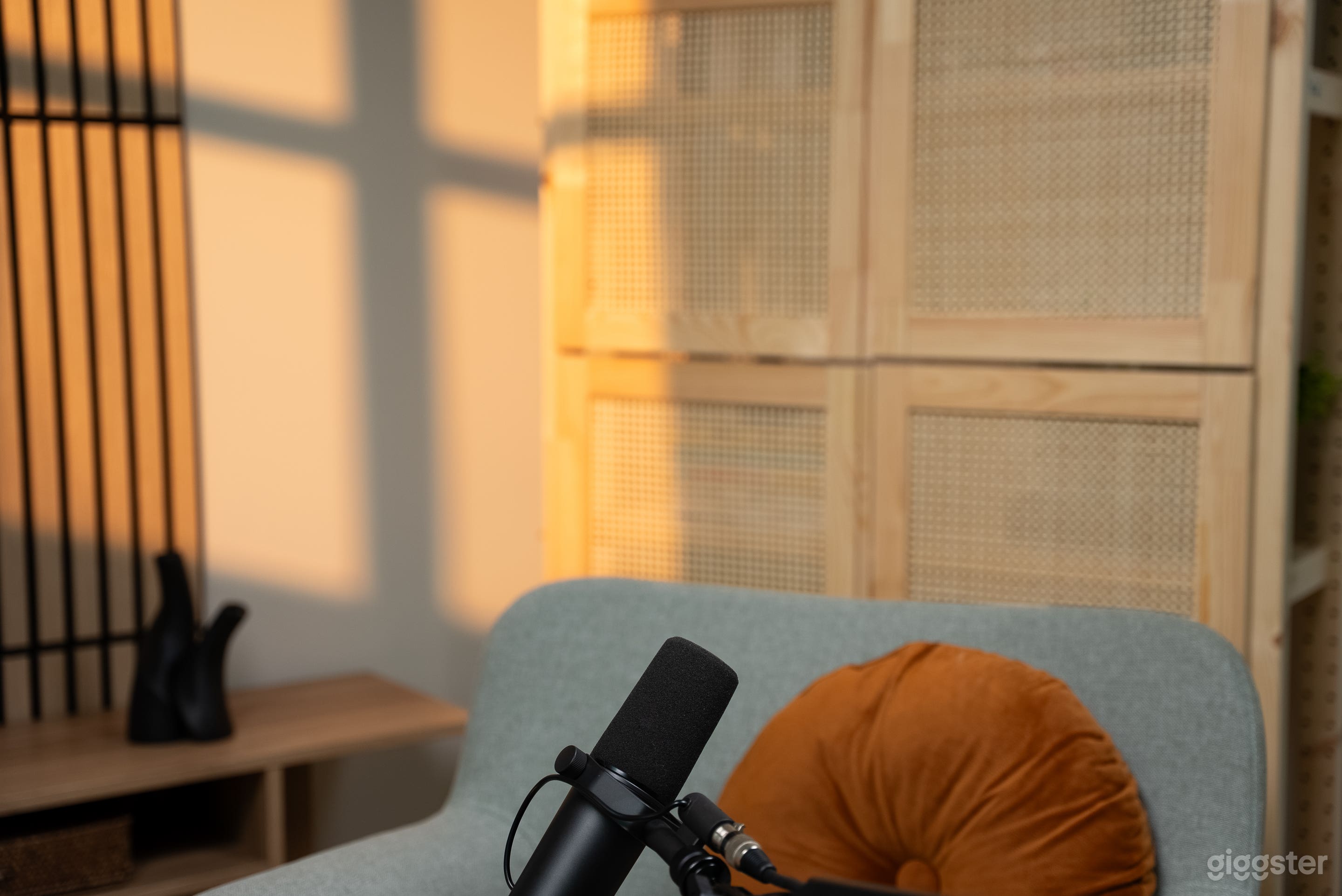 Beautiful Podcast Studio in Burnaby Photo 4